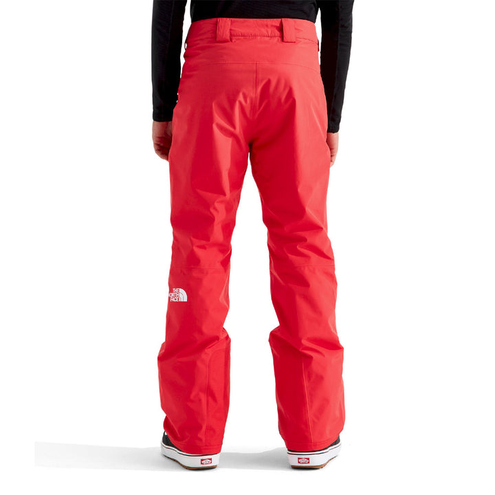 The North Face Men's Descendit Pant
