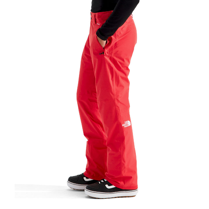 The North Face Men's Descendit Pant