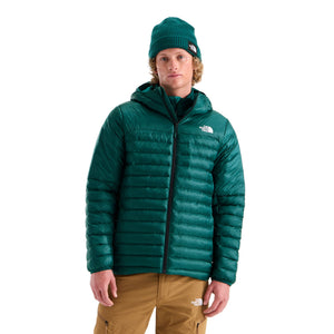 Pacific Teal/Restorative Teal