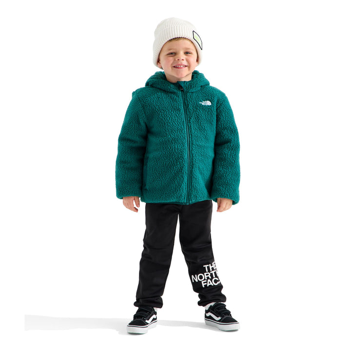 The North Face Boys' Reversible Shasta Full Zip Hooded Jacket
