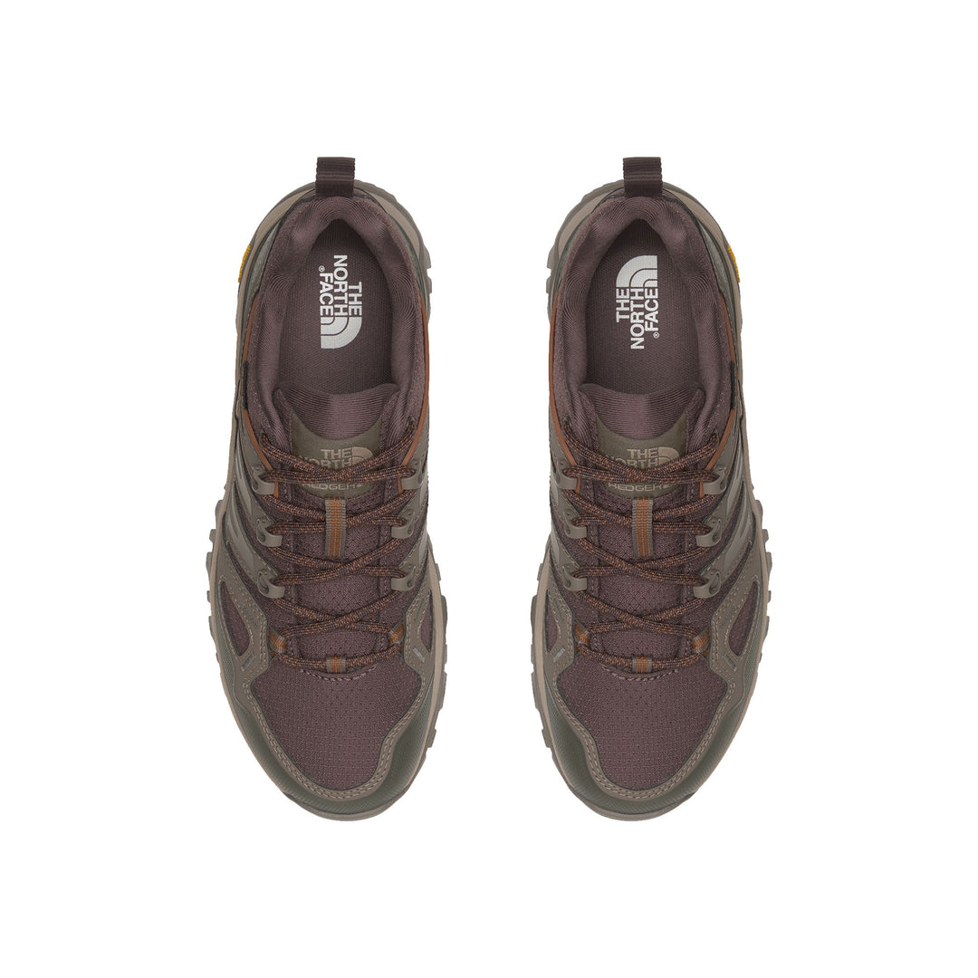 The North Face Women's Hedgehog GORE-TEX Hiking Shoe