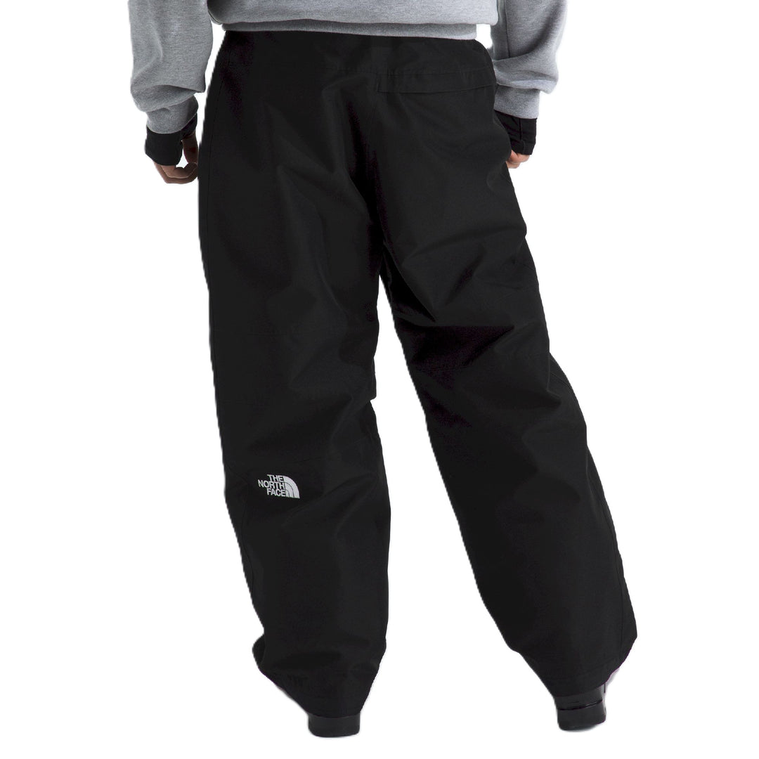 The North Face Men's GTX Hex Pant