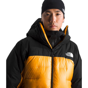 Summit Gold/TNF Black