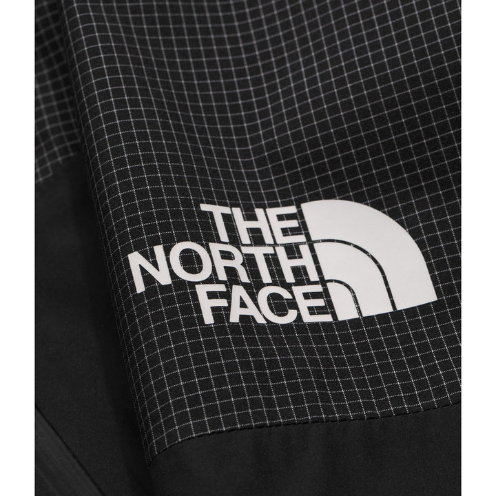 The North Face Men's HKE Devils Thumb GTX Jacket
