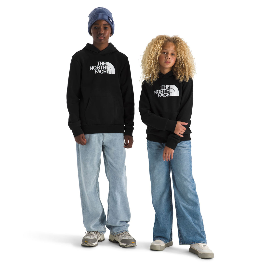 The North Face Teen Evolution Half Dome Pullover Hoodie