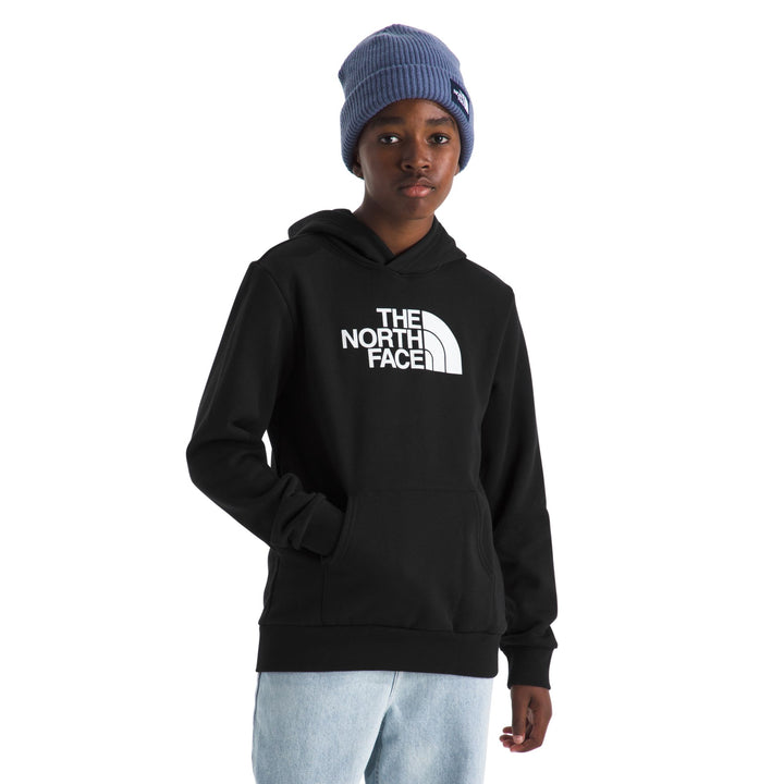 The North Face Teen Evolution Half Dome Pullover Hoodie