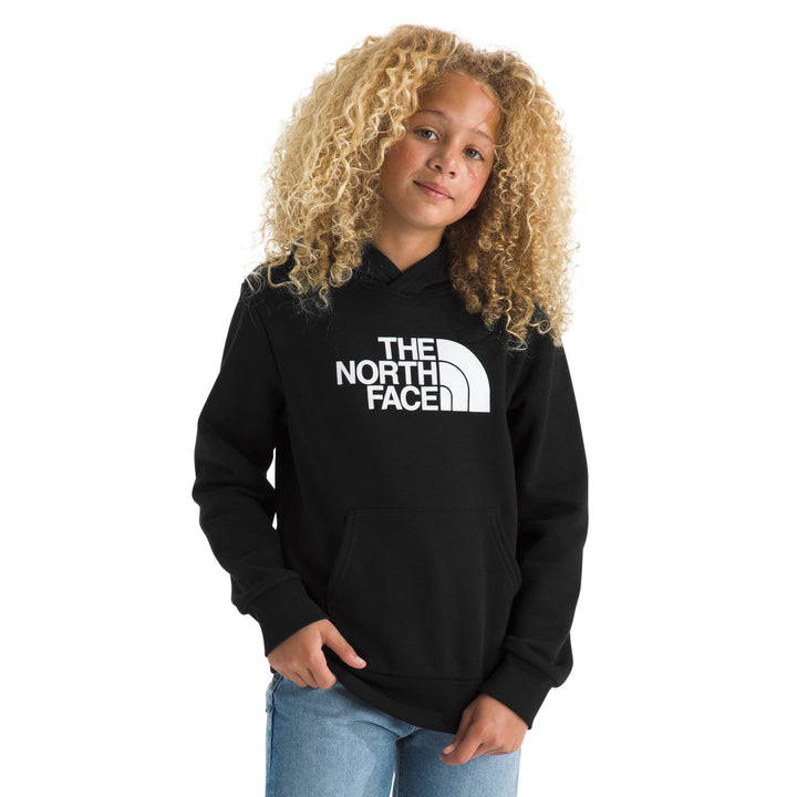 The North Face Teen Evolution Half Dome Pullover Hoodie