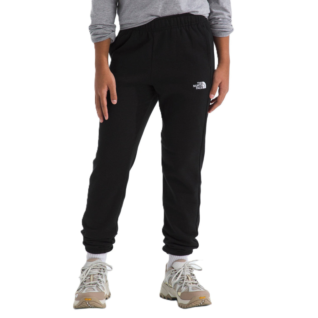 The North Face Teen Evolution Simple Dome Pant