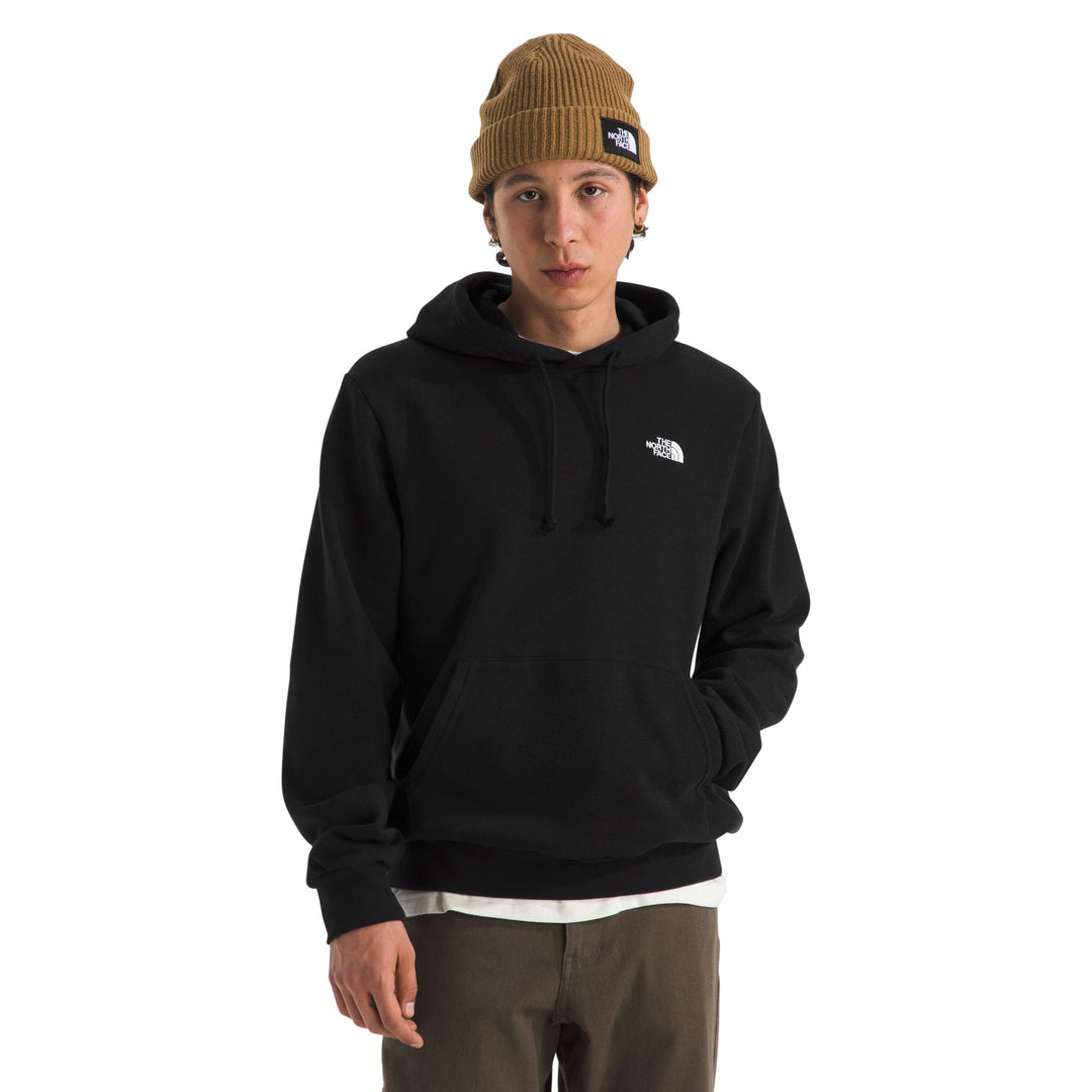 The North Face Men's Evolution Simple Dome Regular Hoodie