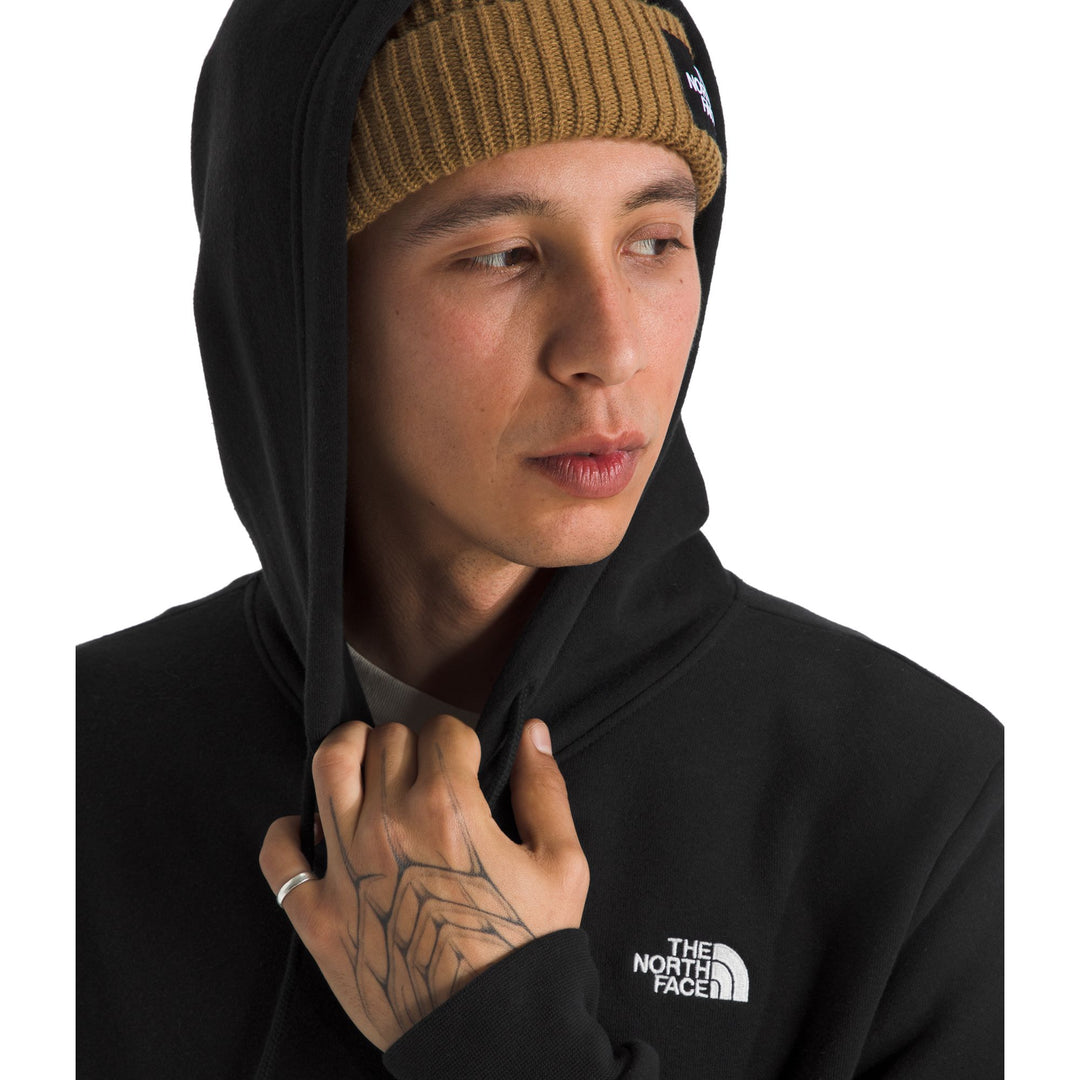 The North Face Men's Evolution Simple Dome Regular Hoodie