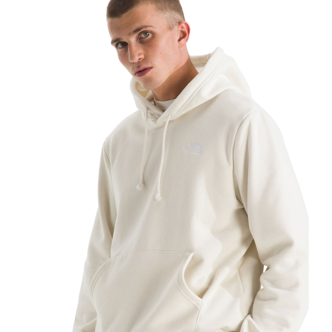 The North Face Men's Evolution Simple Dome Regular Hoodie