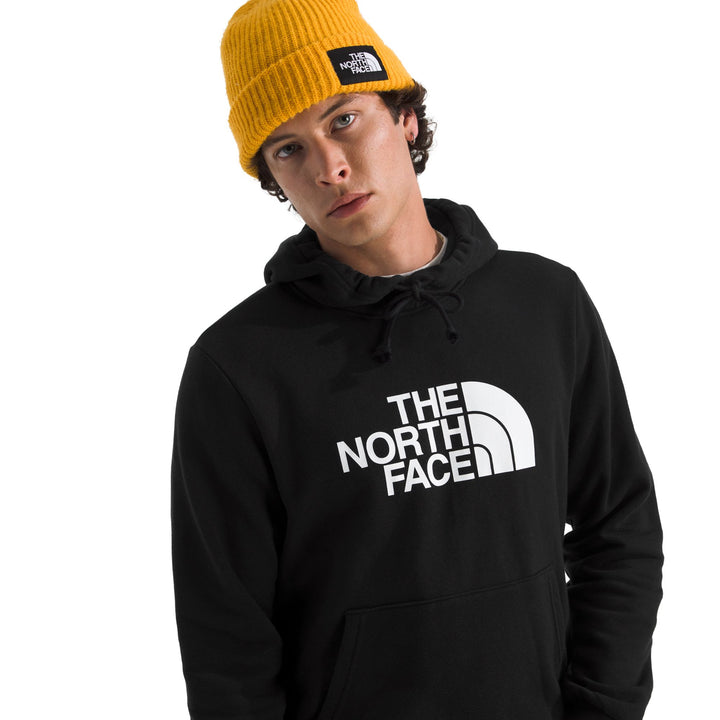 The North Face Men's Evolution Half Dome Regular Hoodie