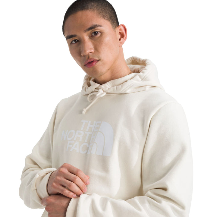 The North Face Men's Evolution Half Dome Regular Hoodie