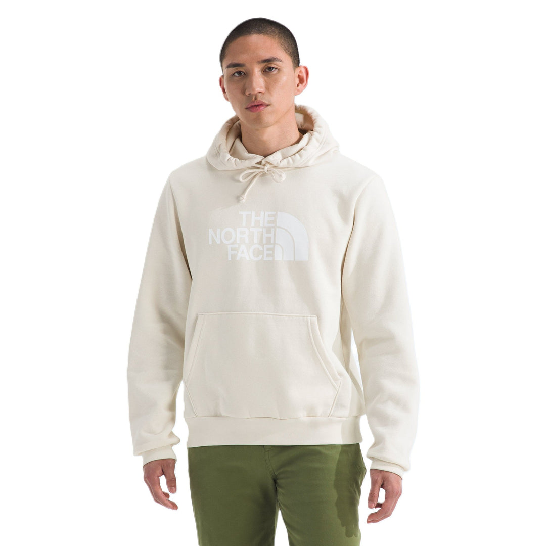 The North Face Men's Evolution Half Dome Regular Hoodie
