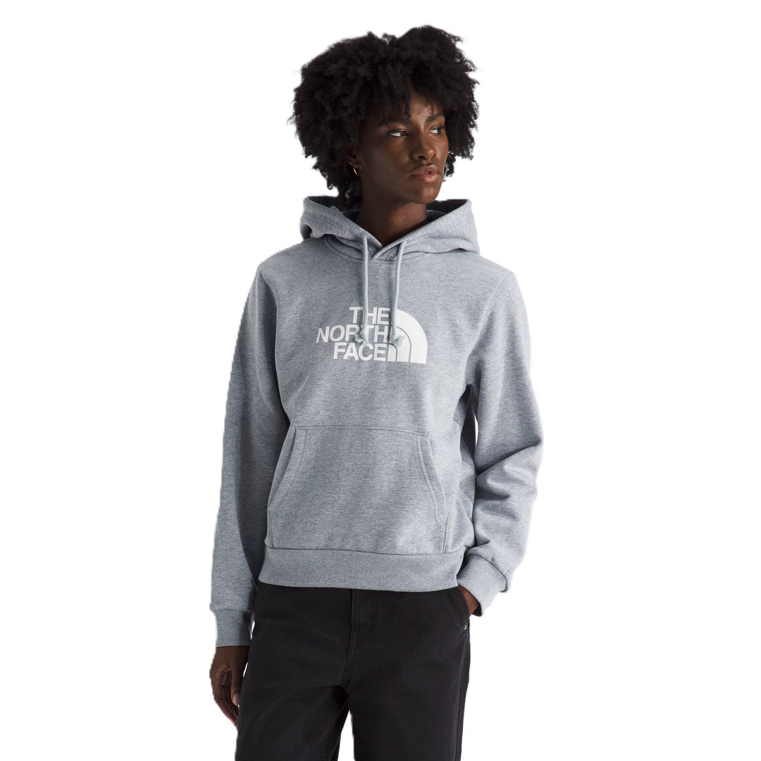 The North Face Women's Evolution Half Dome Regular Hoodie
