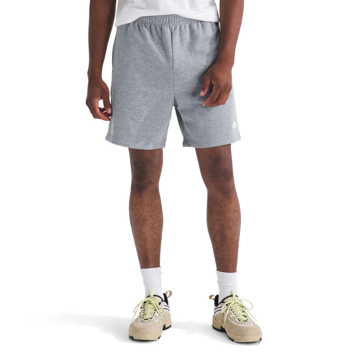 The North Face Men's Evolution Simple Dome Regular Short