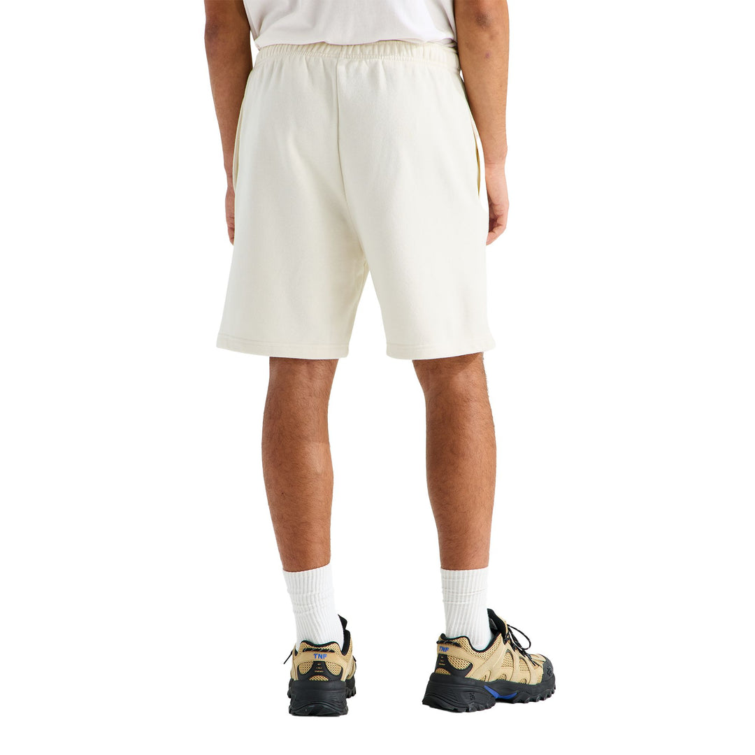 The North Face Men's Evolution Simple Dome Regular Short