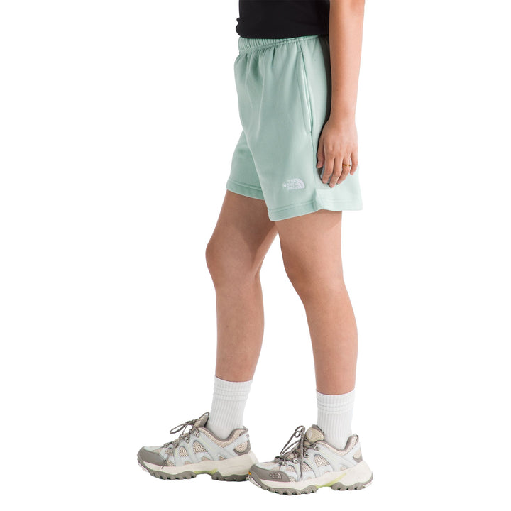 The North Face Women's Evolution Simple Dome Regular Short