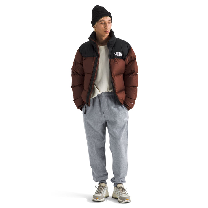 The North Face Men's Evolution Simple Dome Regular Jogger