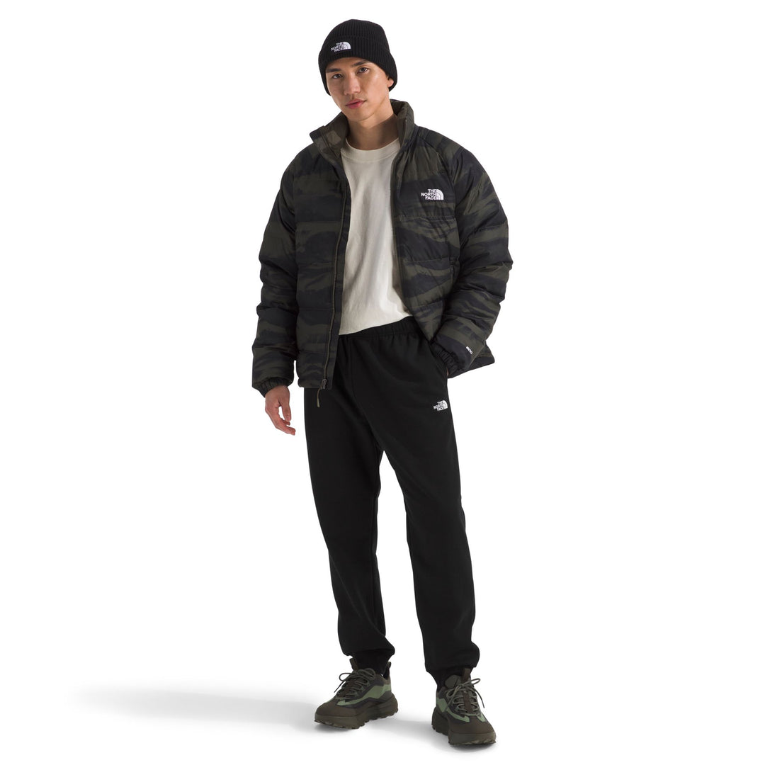 The North Face Men's Evolution Simple Dome Regular Jogger