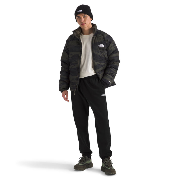 The North Face Men's Evolution Simple Dome Regular Jogger