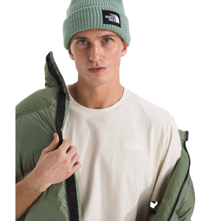 The North Face Men's Evolution Simple Dome Regular Short-Sleeve Tee