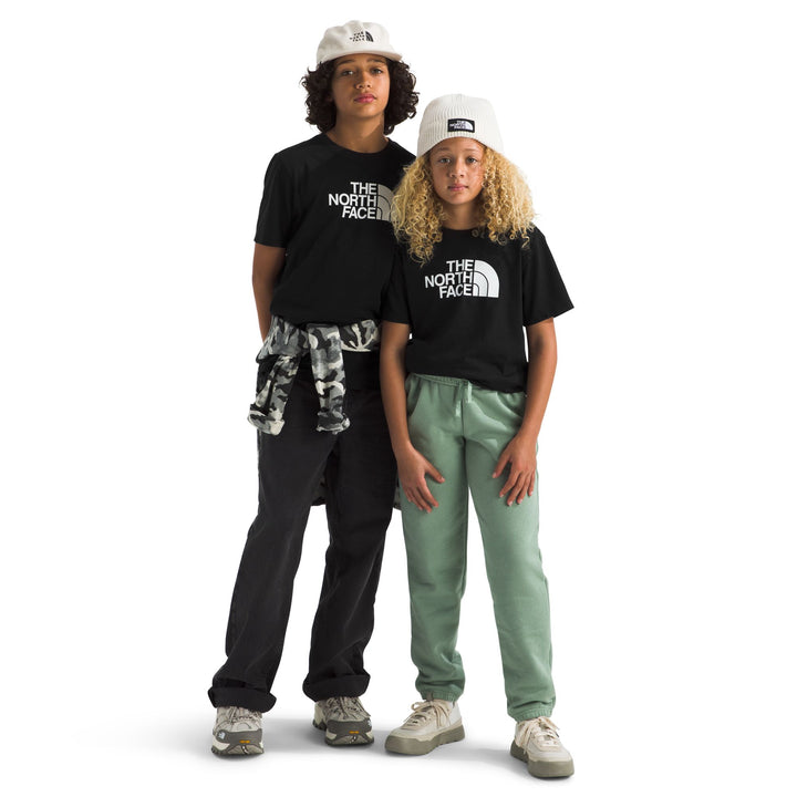 The North Face Teen Evolution Half Dome Short Sleeve Tee