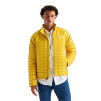 Pigment Yellow