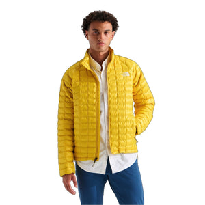 Pigment Yellow
