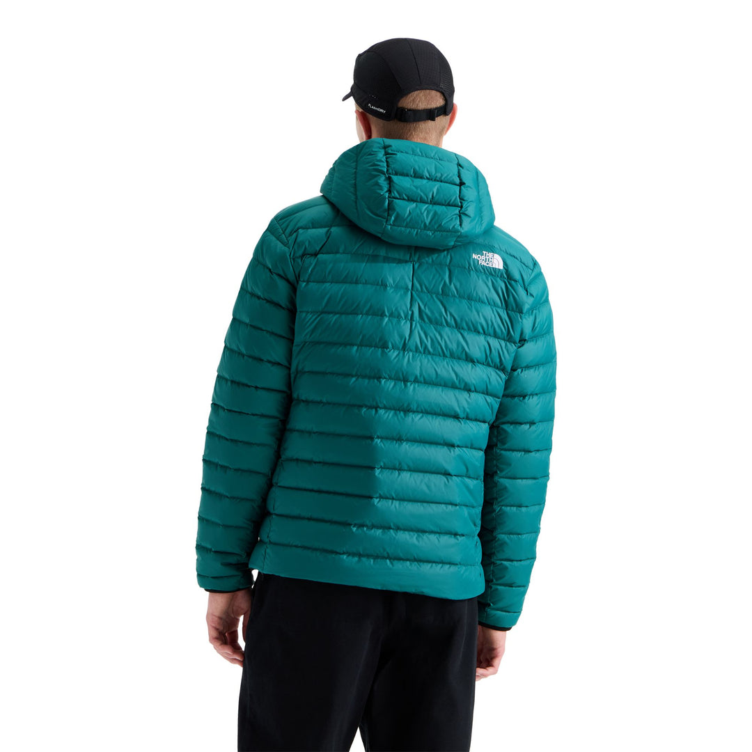The North Face Men's Classic Down Hooded Jacket