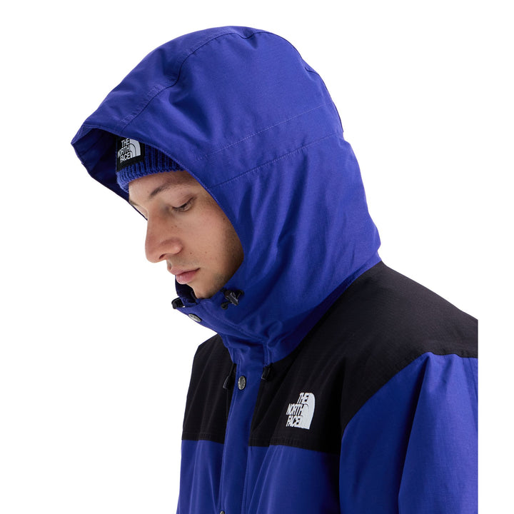 The North Face Men's Mountain Down Jacket