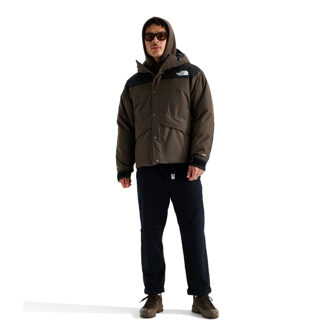 The North Face Men's Mountain Down Jacket