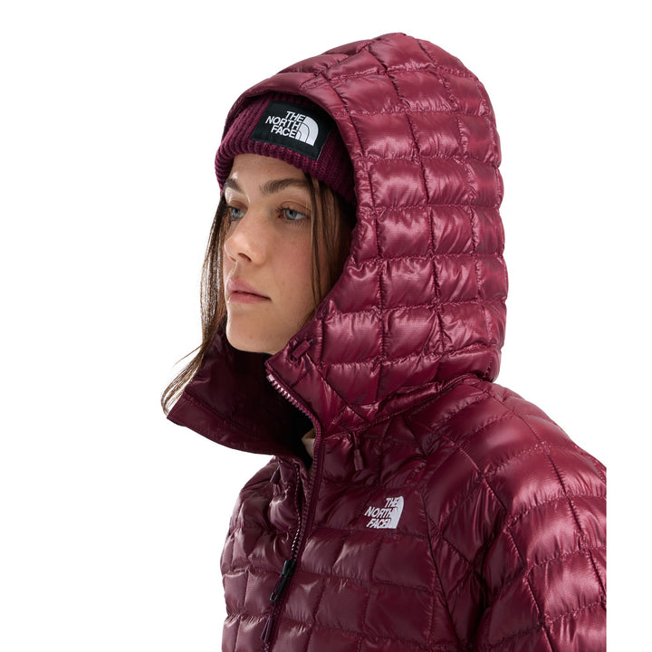 The North Face Women's THERMOBALL Hooded Parka