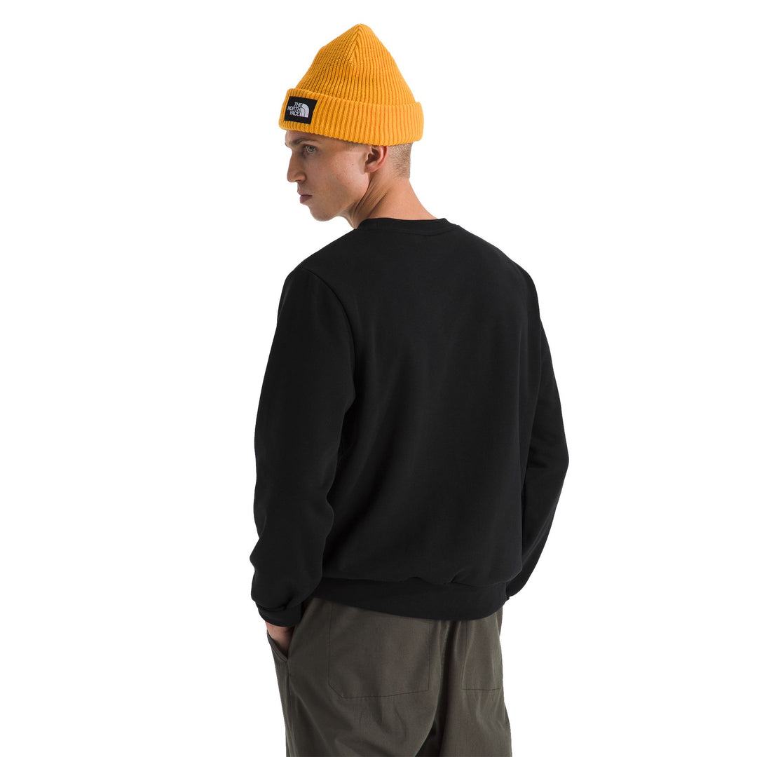 The North Face Men's Evolution Simple Dome Regular Crew