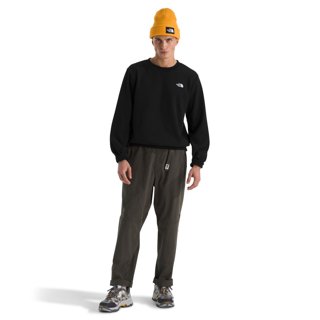 The North Face Men's Evolution Simple Dome Regular Crew