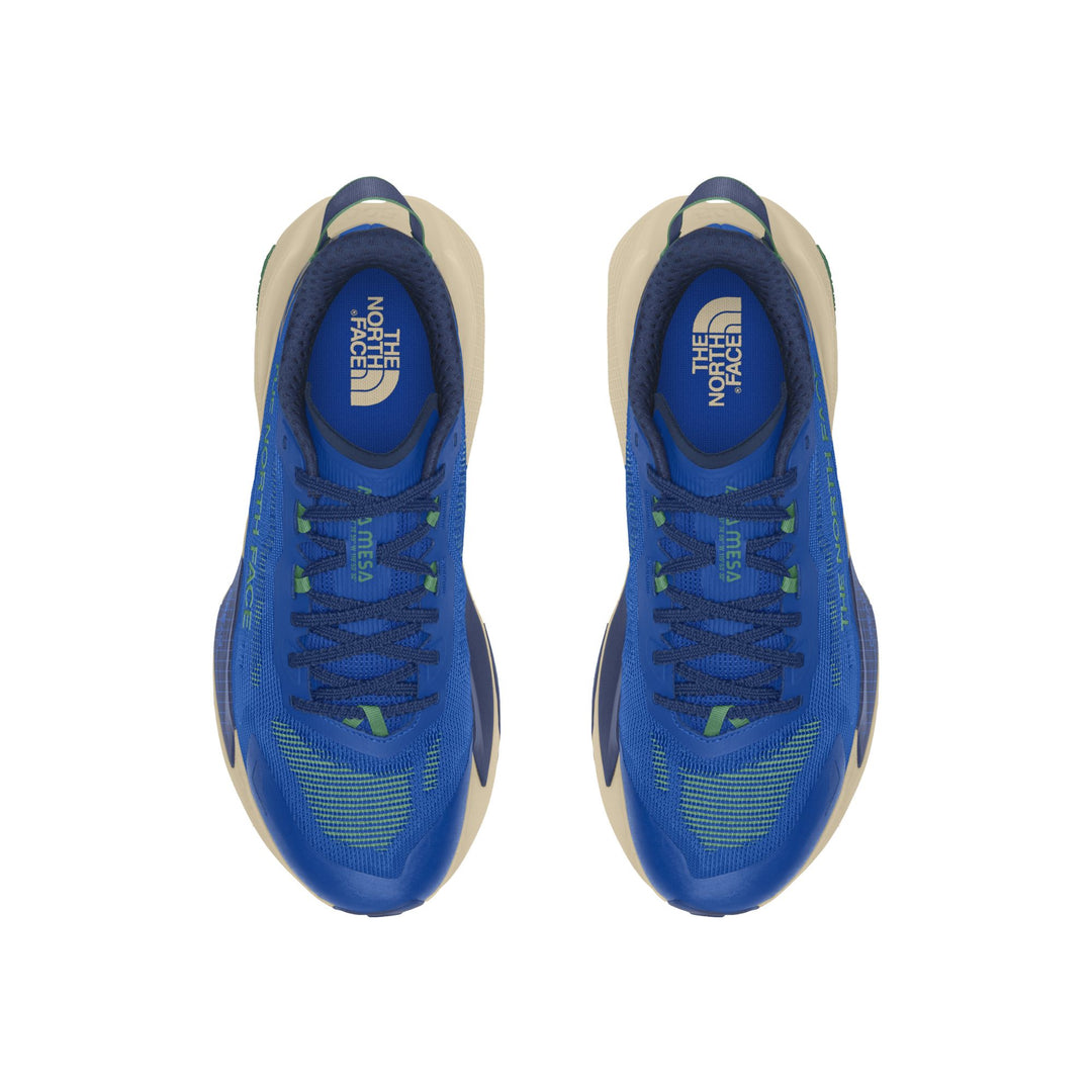 The North Face Men's Altamesa 500 V2 Trail Shoe