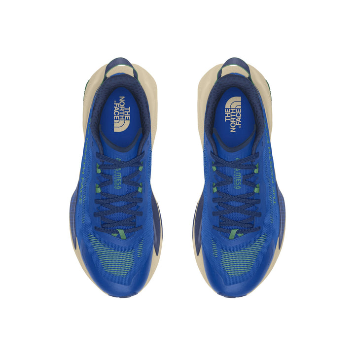 The North Face Men's Altamesa 500 V2 Trail Shoe