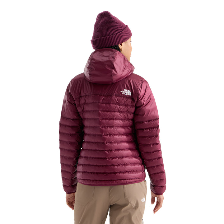 The North Face Women's Terra Peak Hoodie