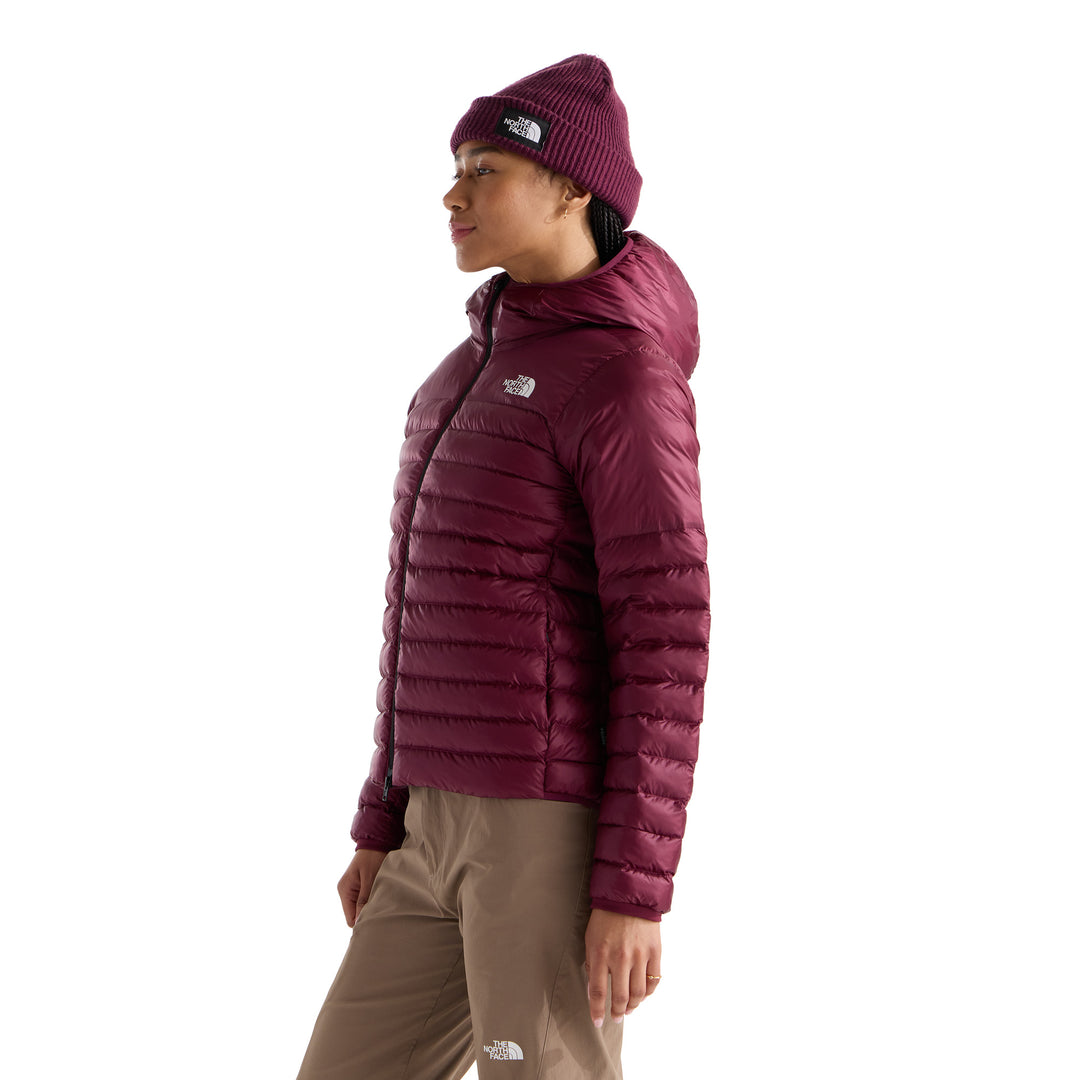 The North Face Women's Terra Peak Hoodie