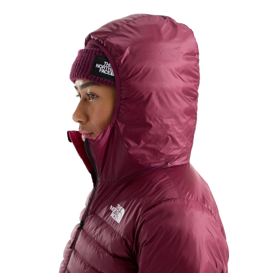 The North Face Women's Terra Peak Hoodie
