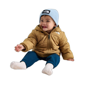 Teddy Brown