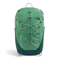 Dimmed Algae/Hunter Green