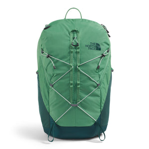Dimmed Algae/Hunter Green