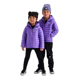 Elevation Purple