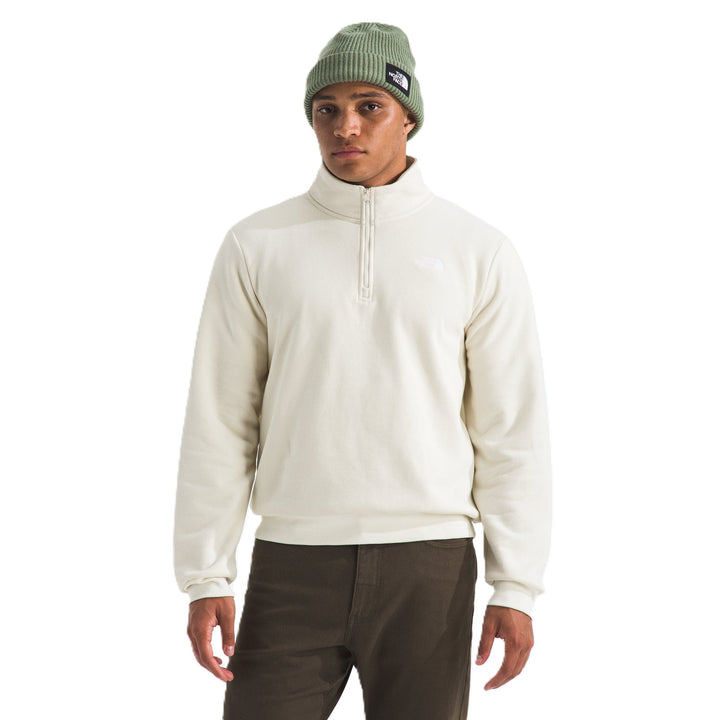 The North Face Men's Evolution Simple Dome Regular ¼ Zip