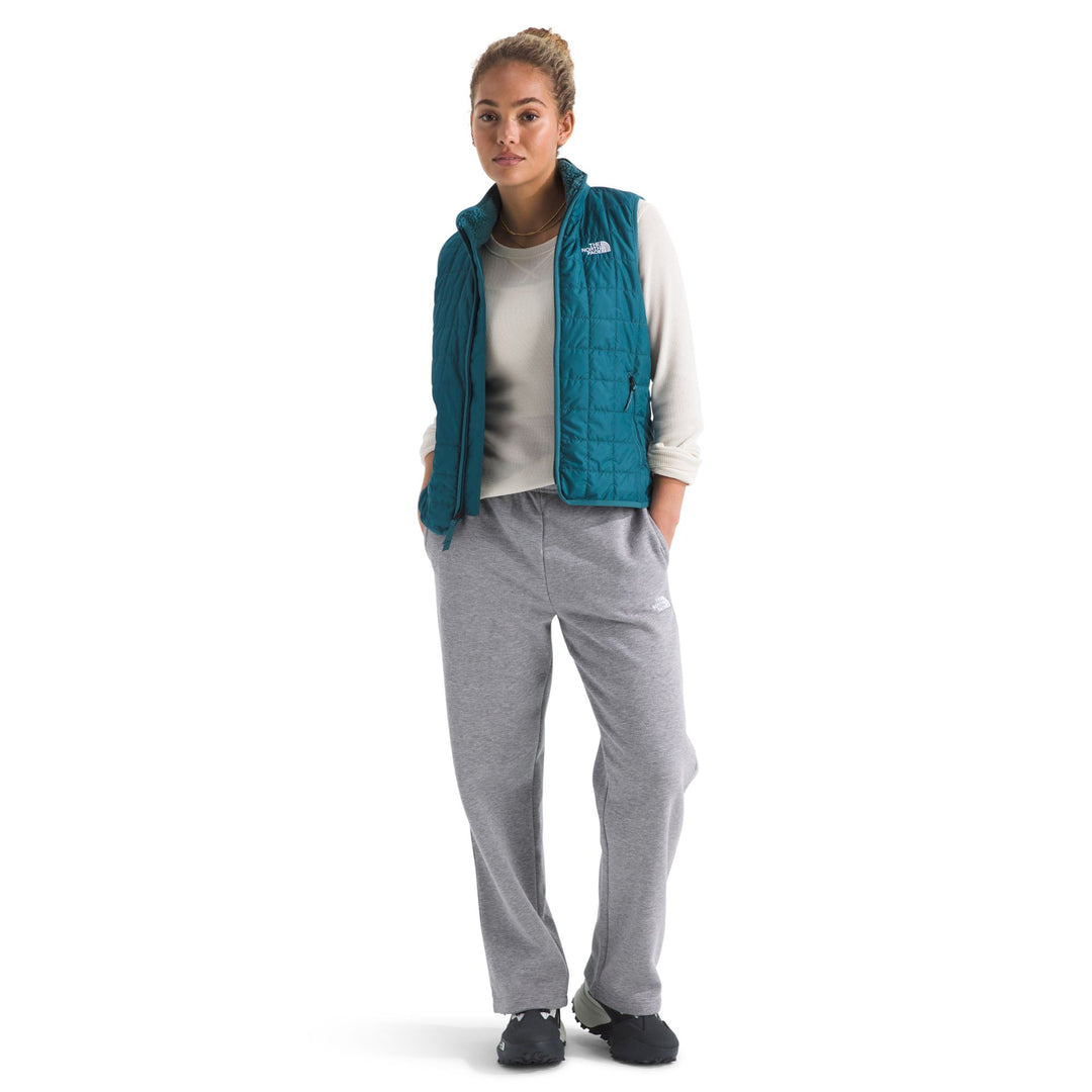 The North Face Women's Evolution Simple Dome Straight-Leg Regular Pant