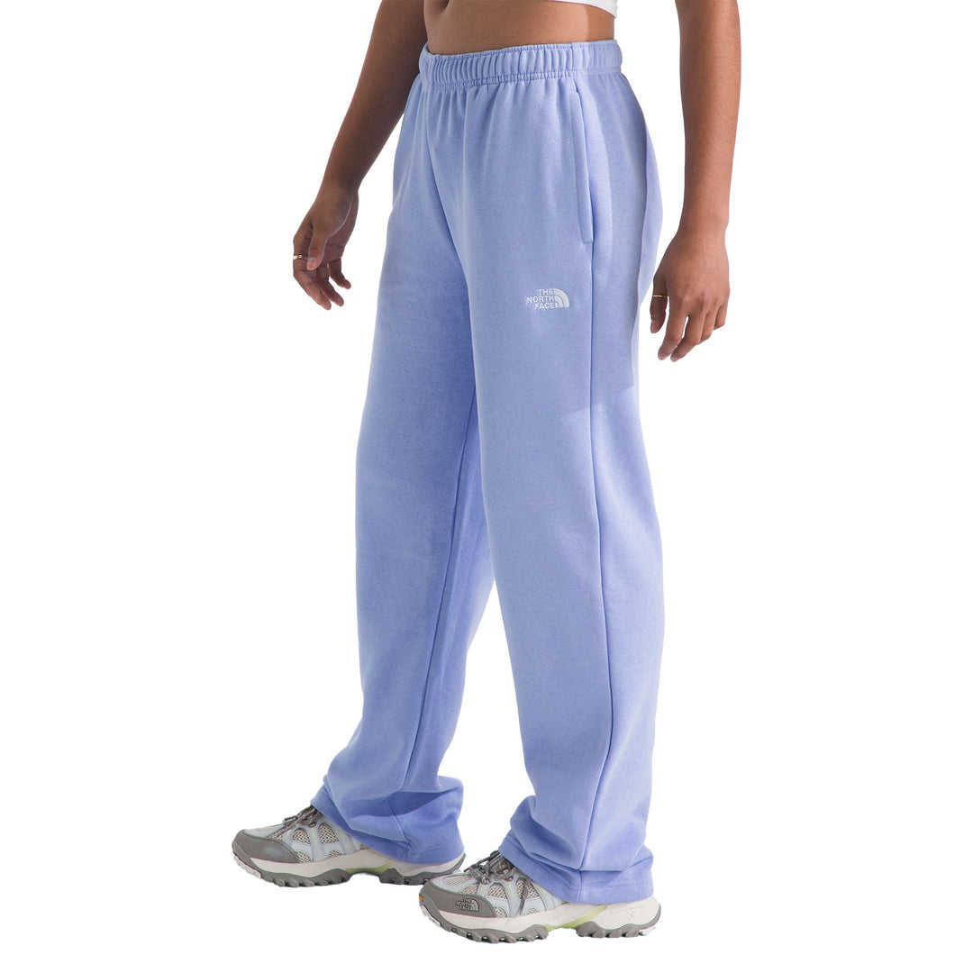 The North Face Women's Evolution Simple Dome Straight-Leg Regular Pant