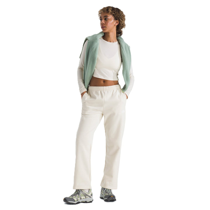 The North Face Women's Evolution Simple Dome Straight-Leg Regular Pant