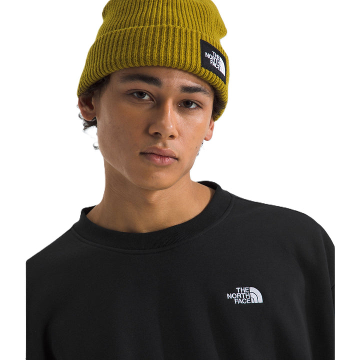 The North Face Men's Evolution Simple Dome Oversize Crew