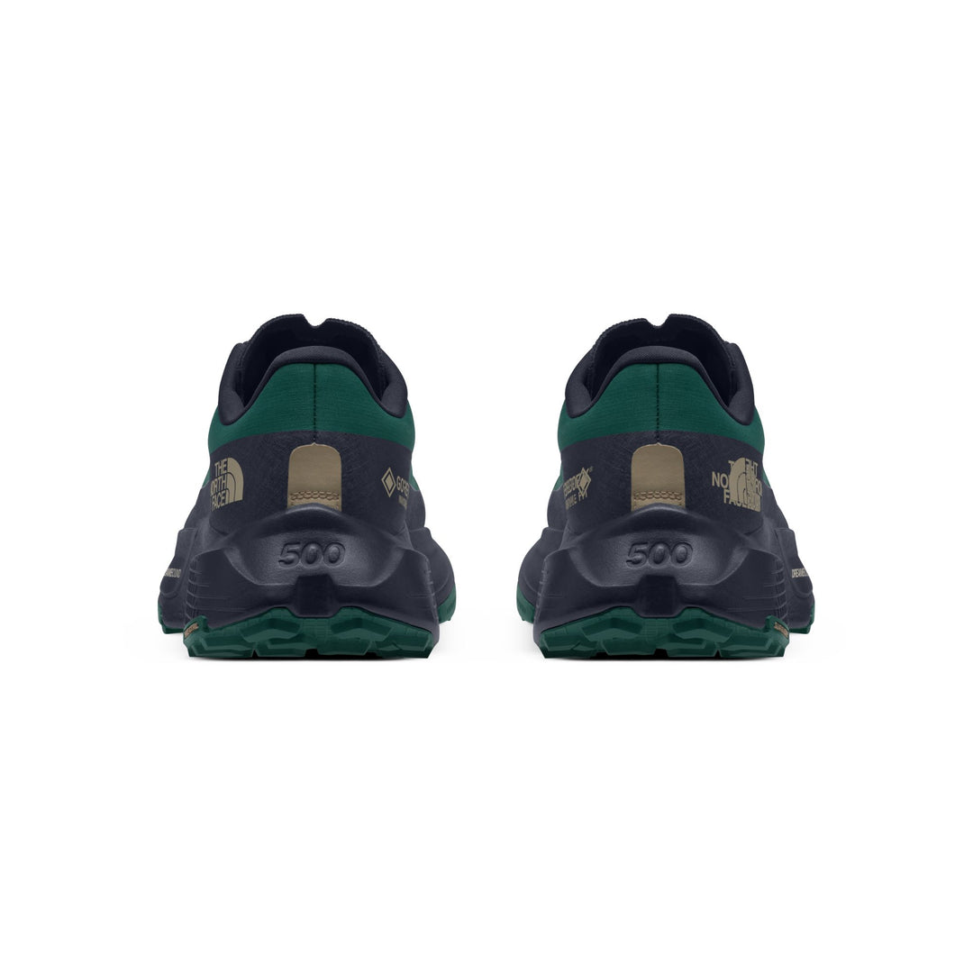 The North Face Men's Altamesa 500 V2 GORE-TEX Trail Shoe